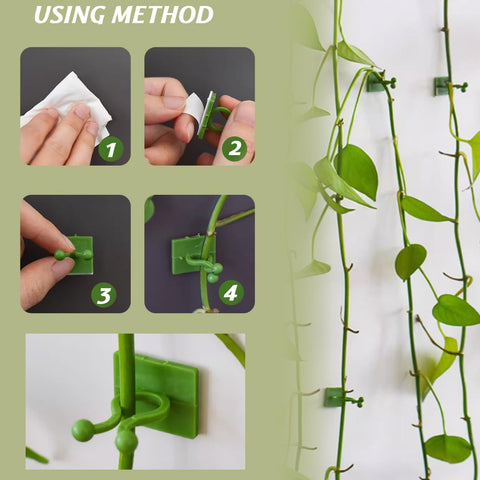 GXXMEI green vine-support clip guides growth naturally.