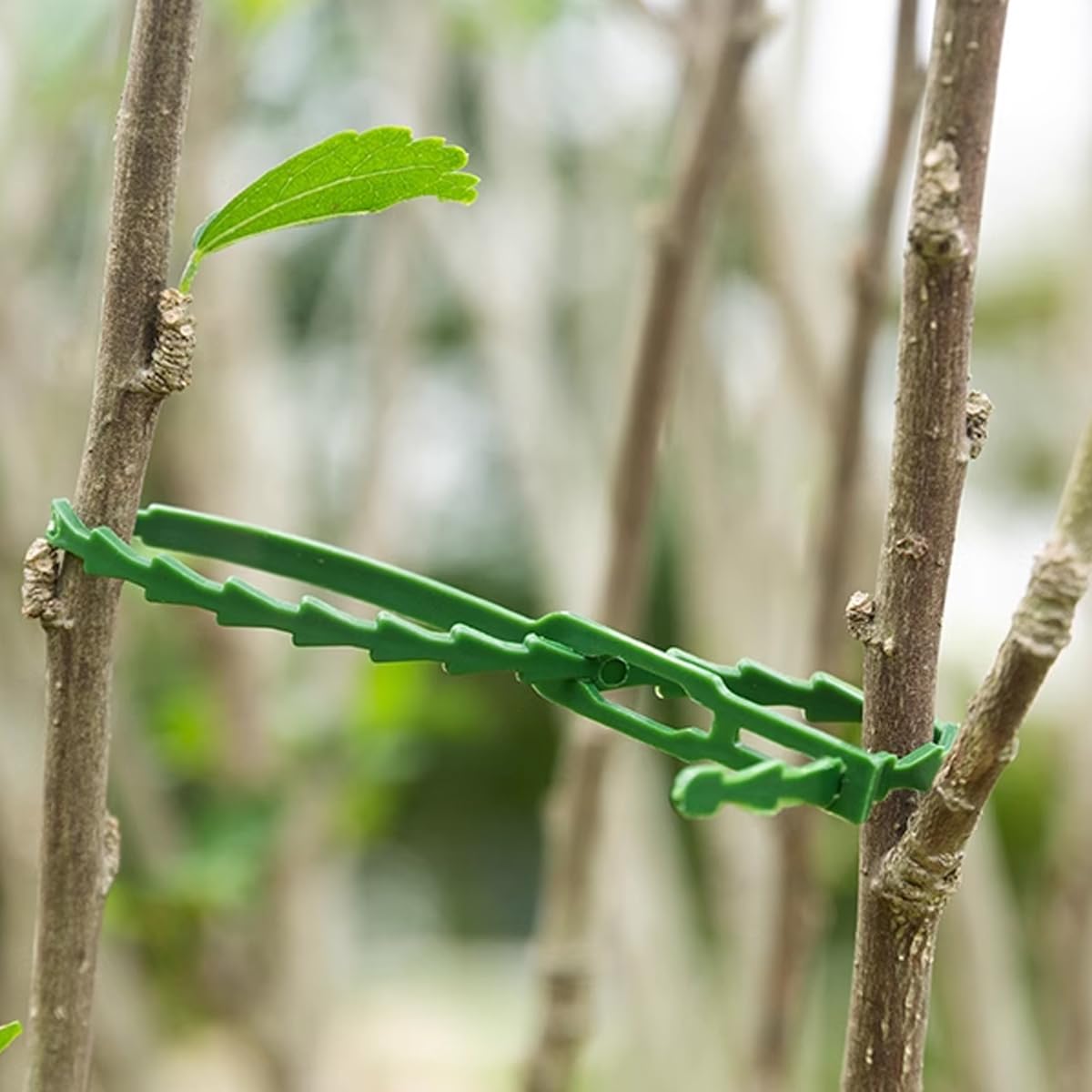 GXXMEI 5.1-inch plant tie in use providing flexible support for small branches