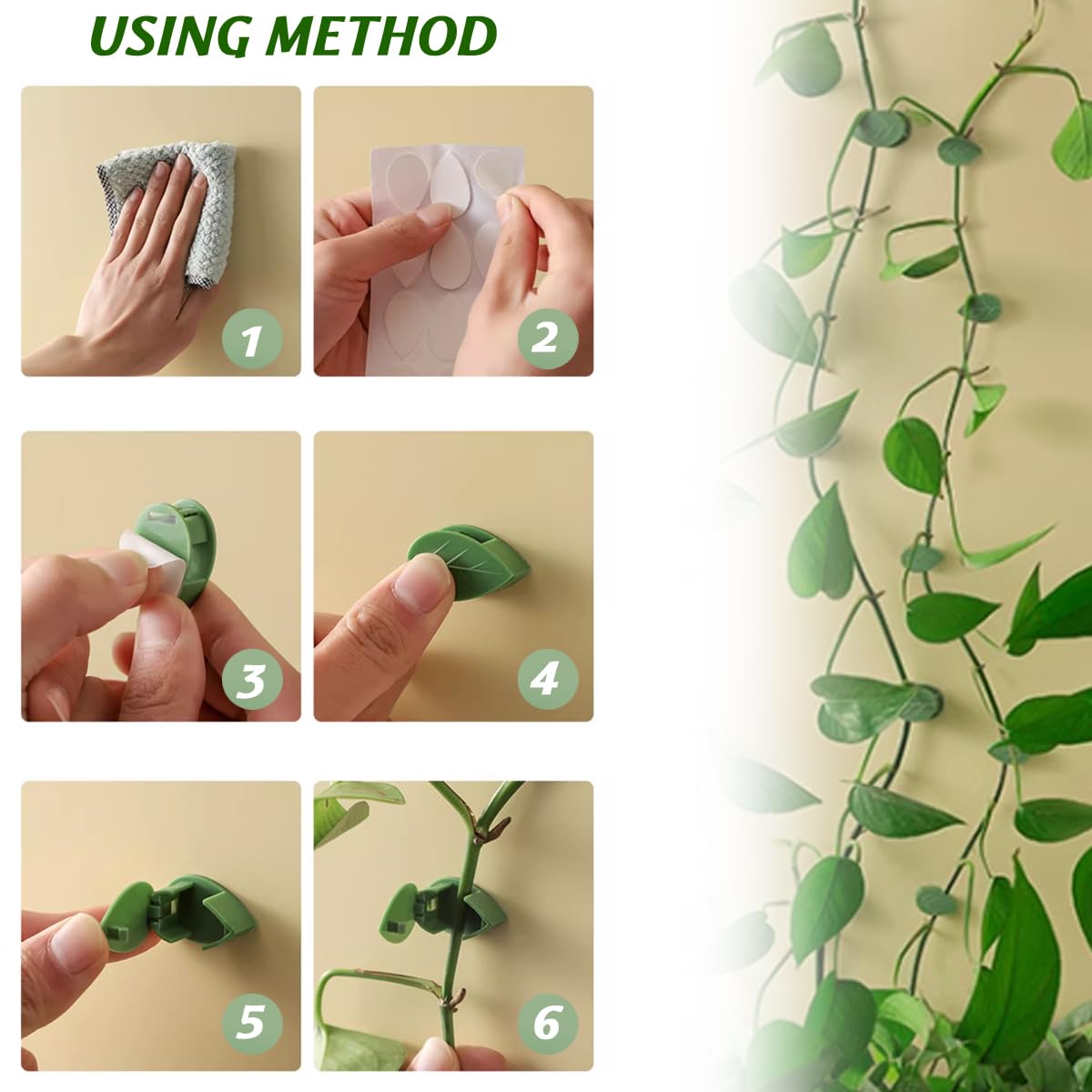 GXXMEI wall clip system keeps plants tidy and hidden.