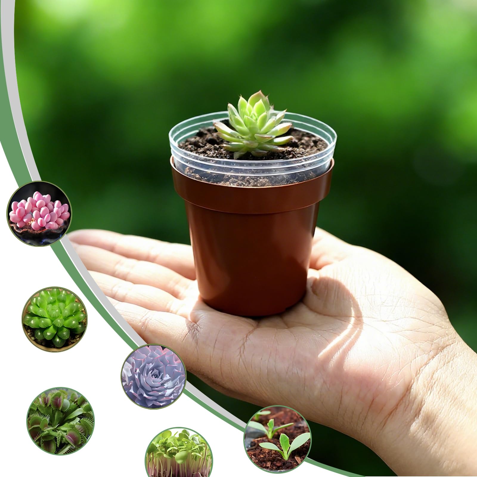 Gyfofix 100-pack includes 50 red and 50 clear pots for color coding projects.