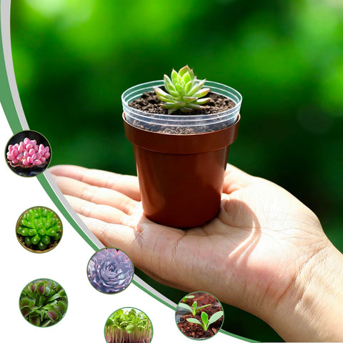 Gyfofix 100-pack includes 50 red and 50 clear pots for color coding projects.