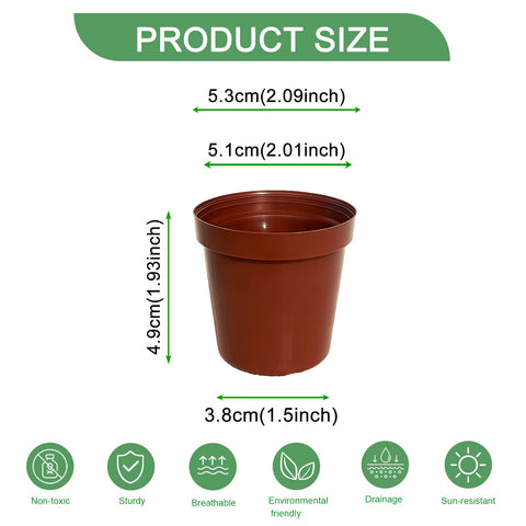 Gyfofix 2-inch clear seedling pot enables easy root monitoring and growth tracking.
