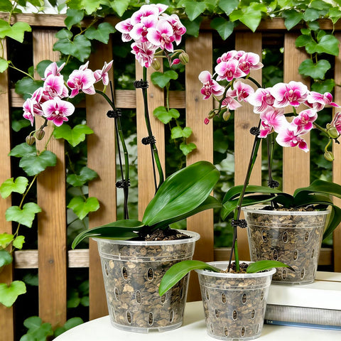 Gyfofix durable plastic orchid pot packaging emphasizes long-lasting, reusable design.