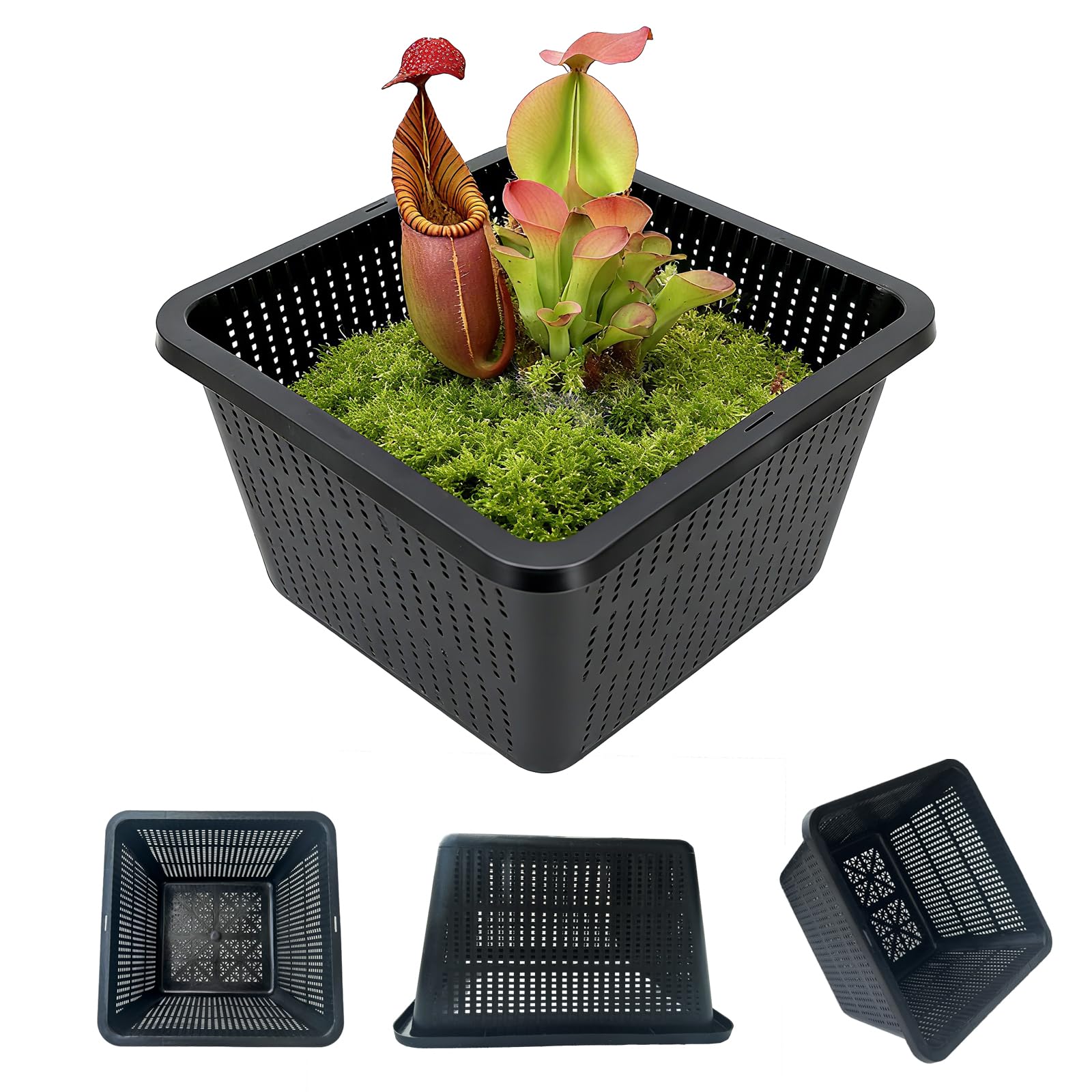 Gyfofix HG9SQBK 9-inch square basket for pond plants keeps soil contained while water flows.