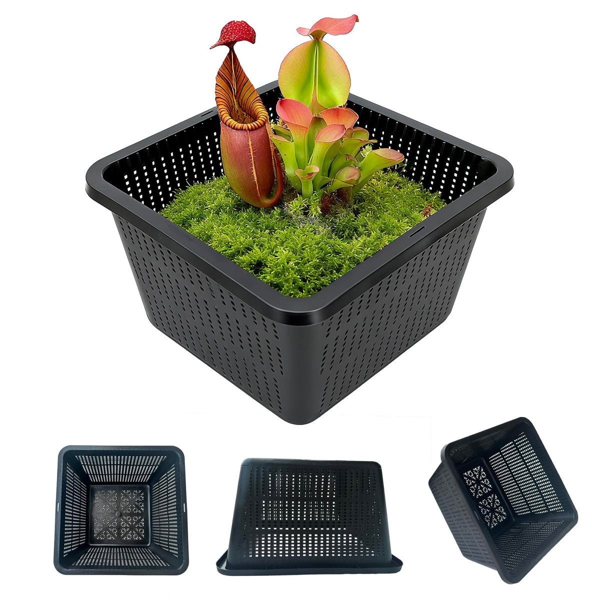 Gyfofix HG9SQBK 9-inch square basket for pond plants keeps soil contained while water flows.