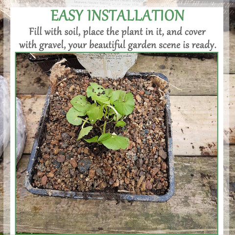 Gyfofix HG9SQBK root-protecting basket anchors aquatic plants and prevents movement.