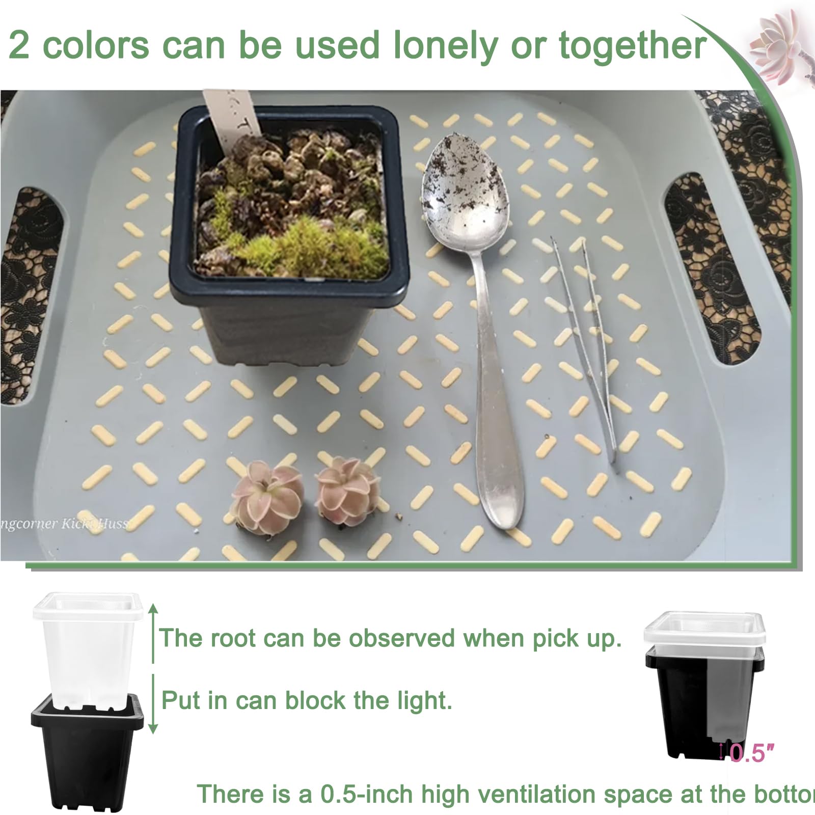 Gyfofix 50-pack seedling pots in black and clear for versatile setups