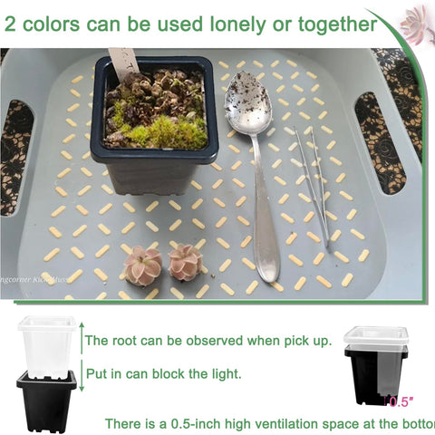 Gyfofix 50-pack seedling pots in black and clear for versatile setups