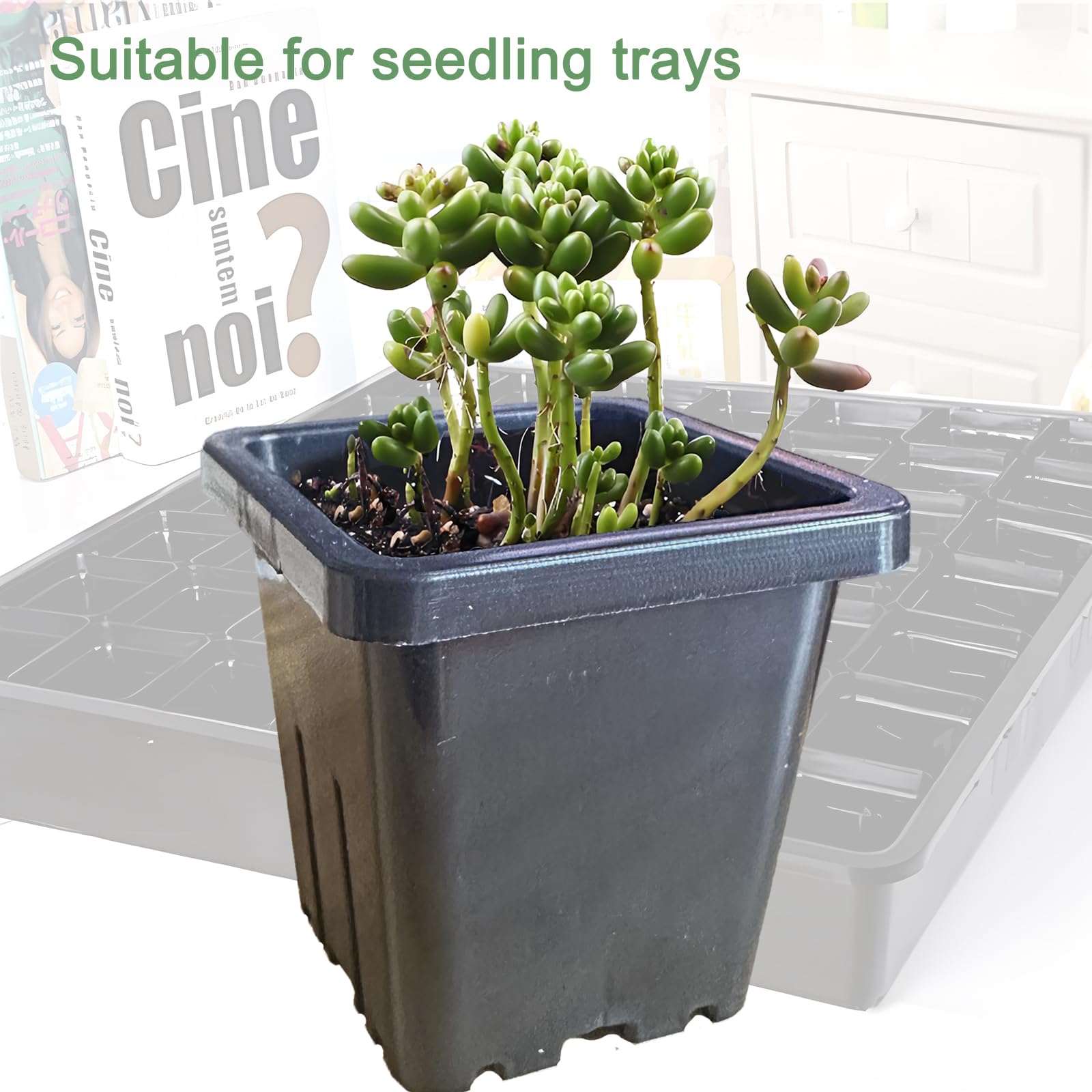 Gyfofix indoor-outdoor seedling pots suitable for windowsill to garden beds