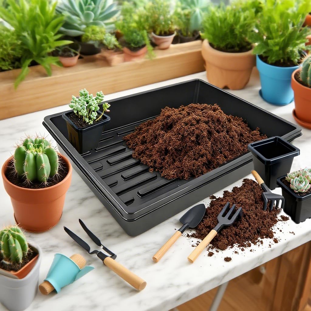 Gyfofix seedling pots designed for reuse and long-term value