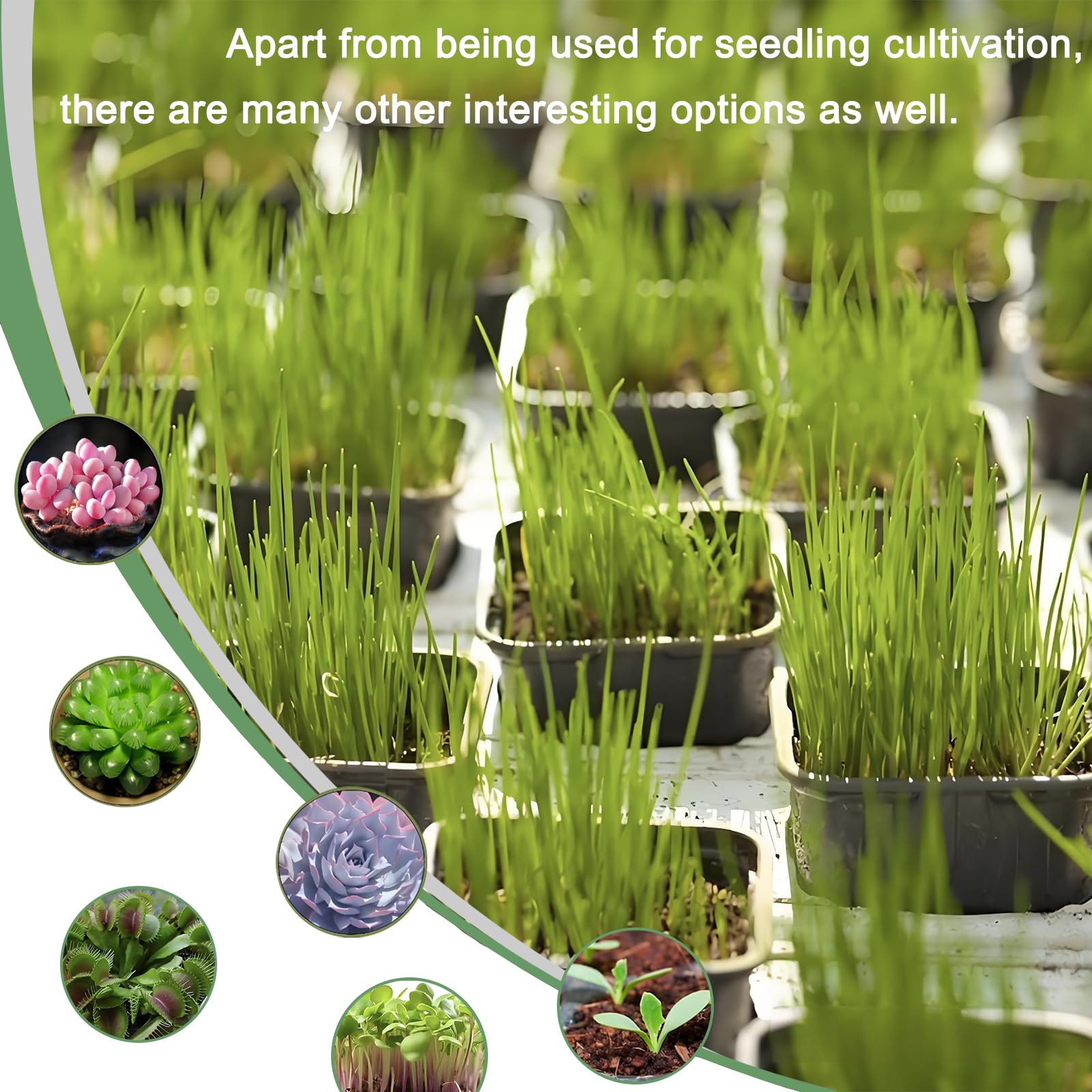 Gyfofix two-color set supports varied plant projects and layouts