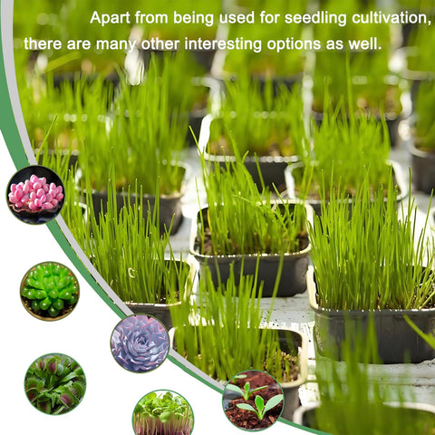 Gyfofix two-color set supports varied plant projects and layouts