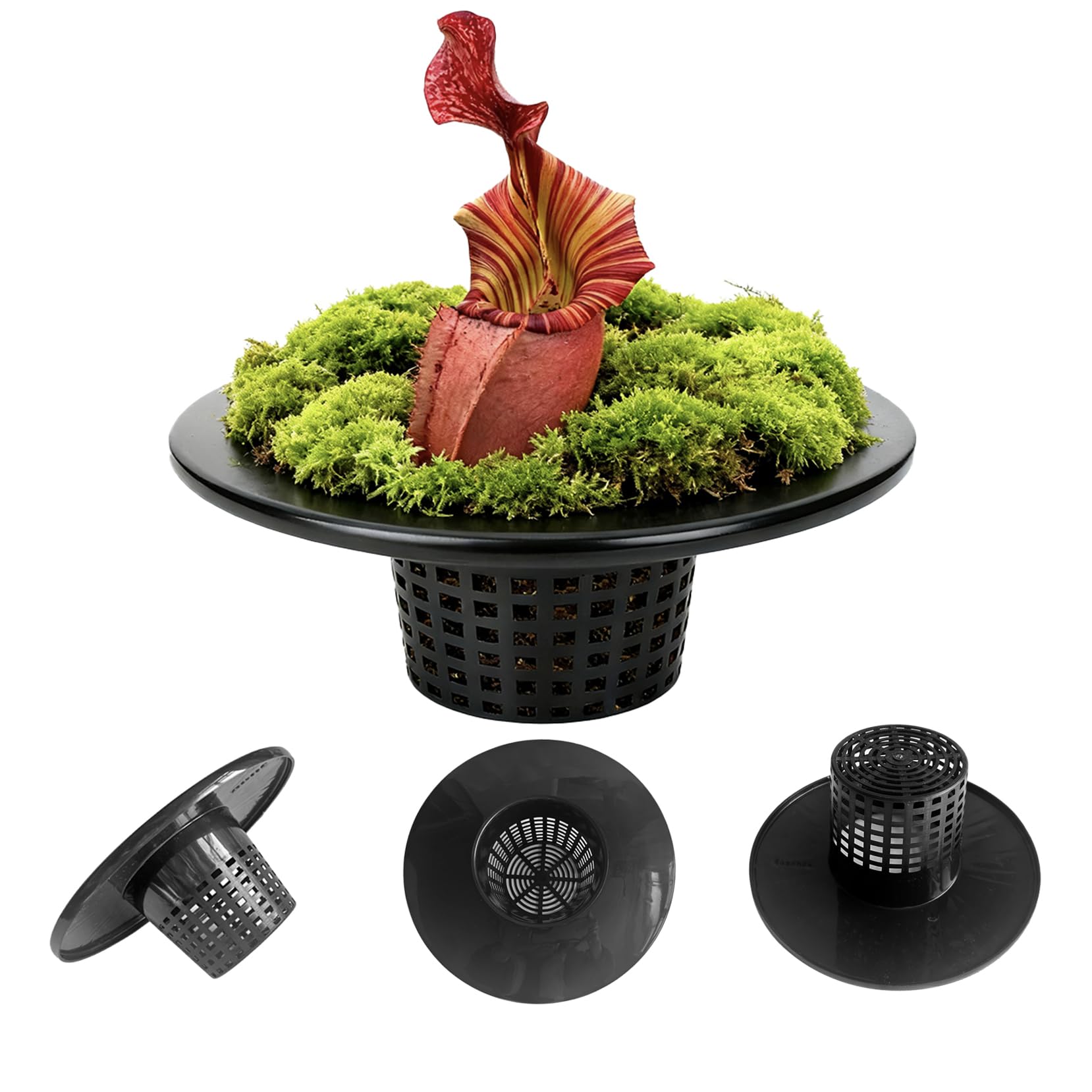 Gyfofix small-opening mesh net cup stabilizing delicate lettuce roots for healthy growth