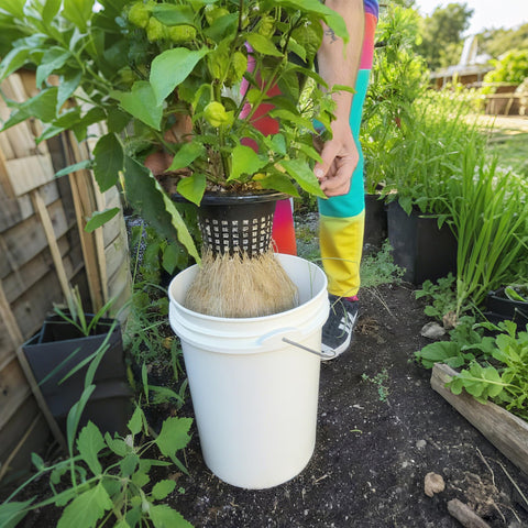 Gyfofix tool-free installation for quick hydroponic setup