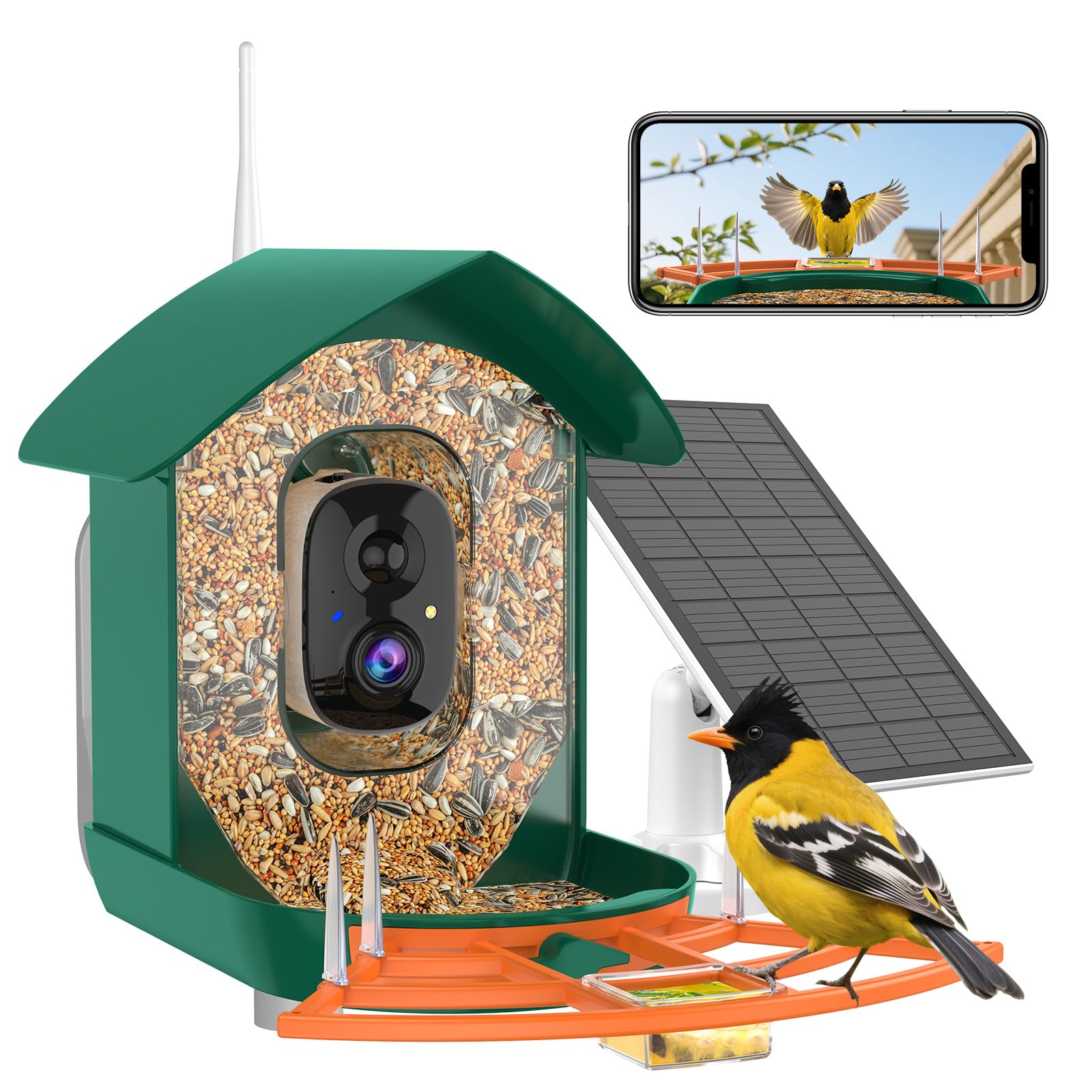 Gyozol bird feeder with camera front view, solar powered outdoor setup for birdwatching.