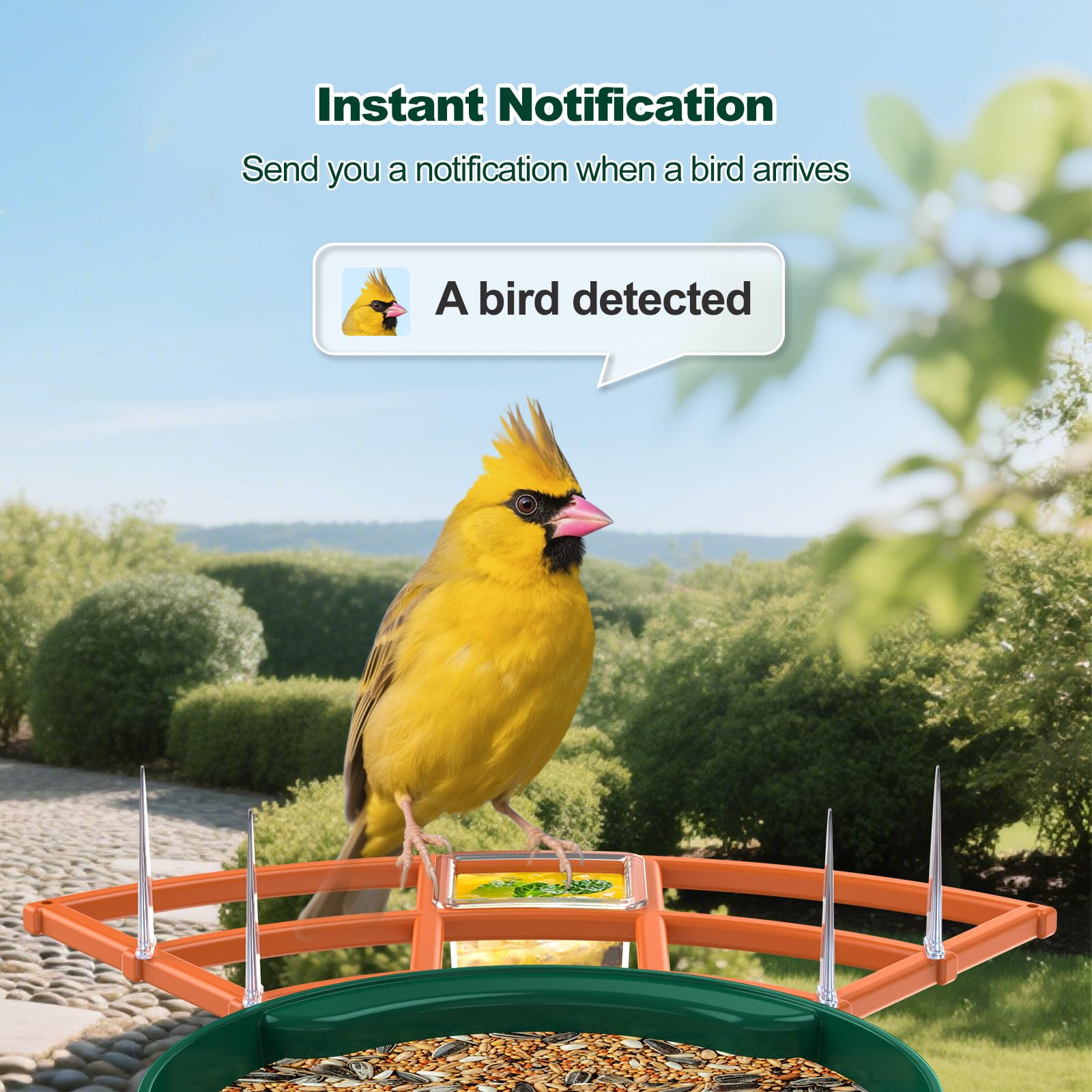 Gyozol bird feeder camera night vision mode enables after-dark birdwatching.