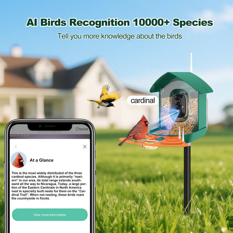 Gyozol bird feeder with camera mounted on a tree for easy outdoor installation.