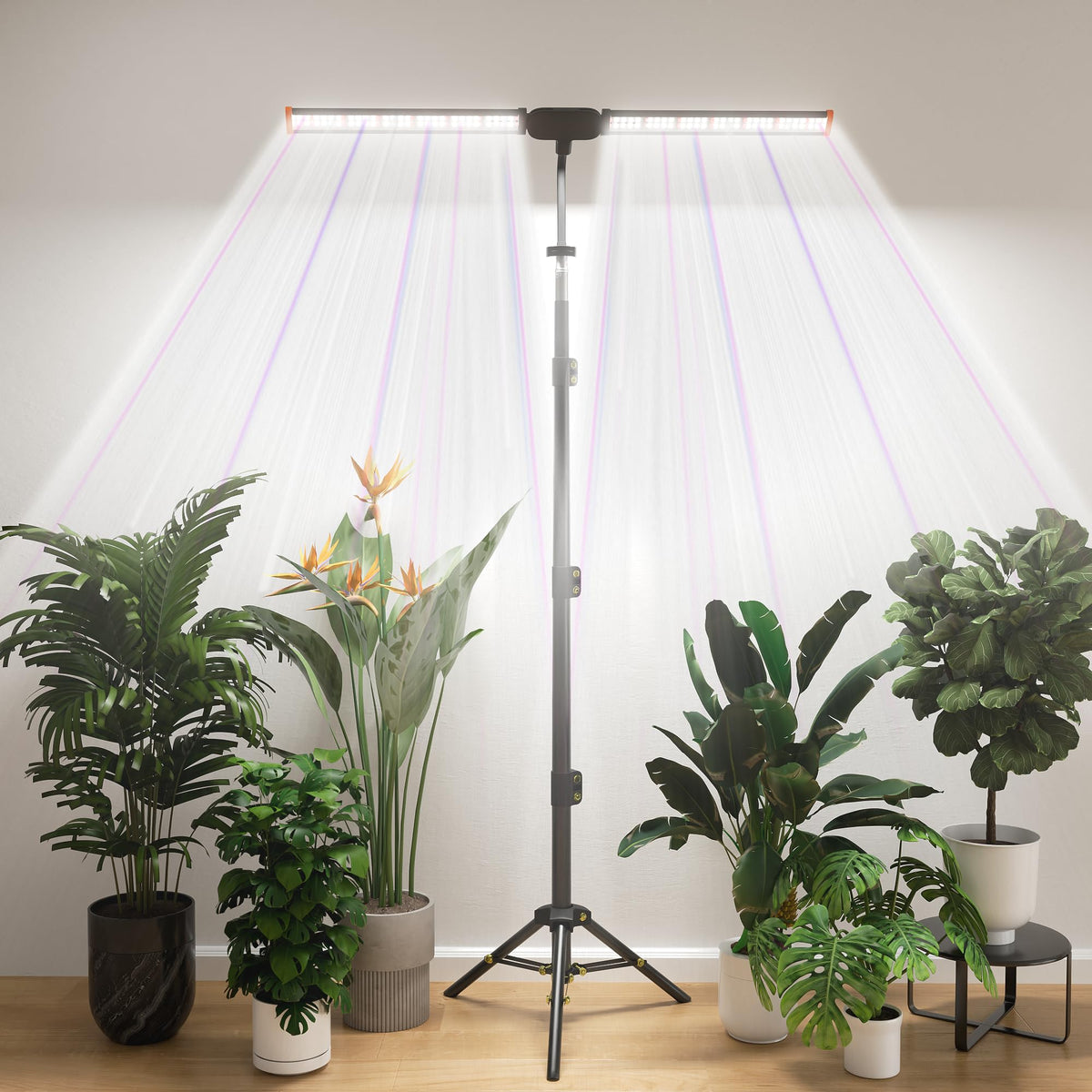 GYTF grow light with stand showing a stable base for upright indoor plants