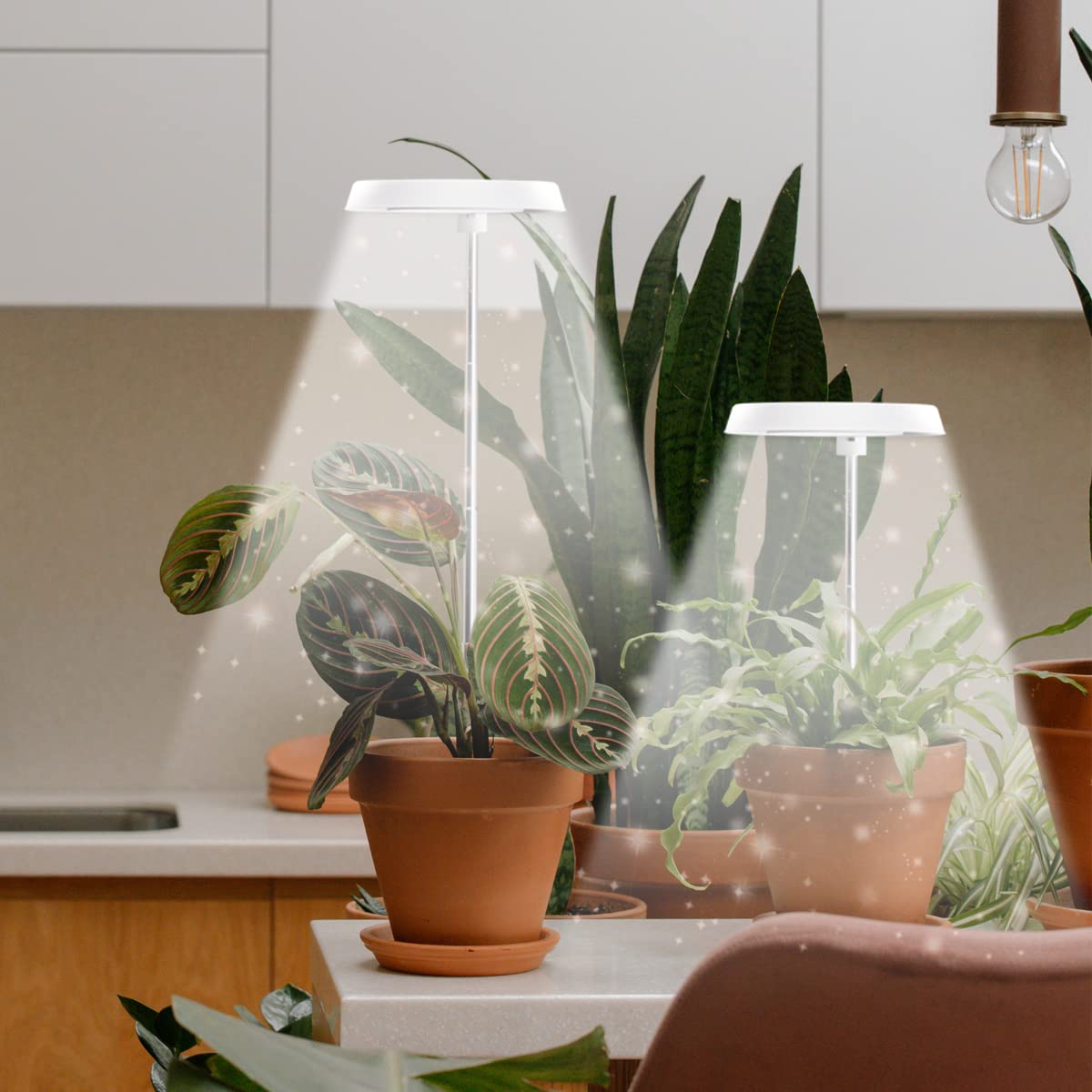 GYTF Halo Grow Light 180-degree rotation enables precise lighting angles for diverse plants.