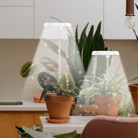 GYTF Halo Grow Light 180-degree rotation enables precise lighting angles for diverse plants.