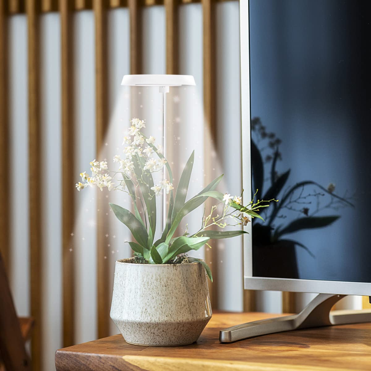 GYTF Halo grow light on a desk for office greenery.