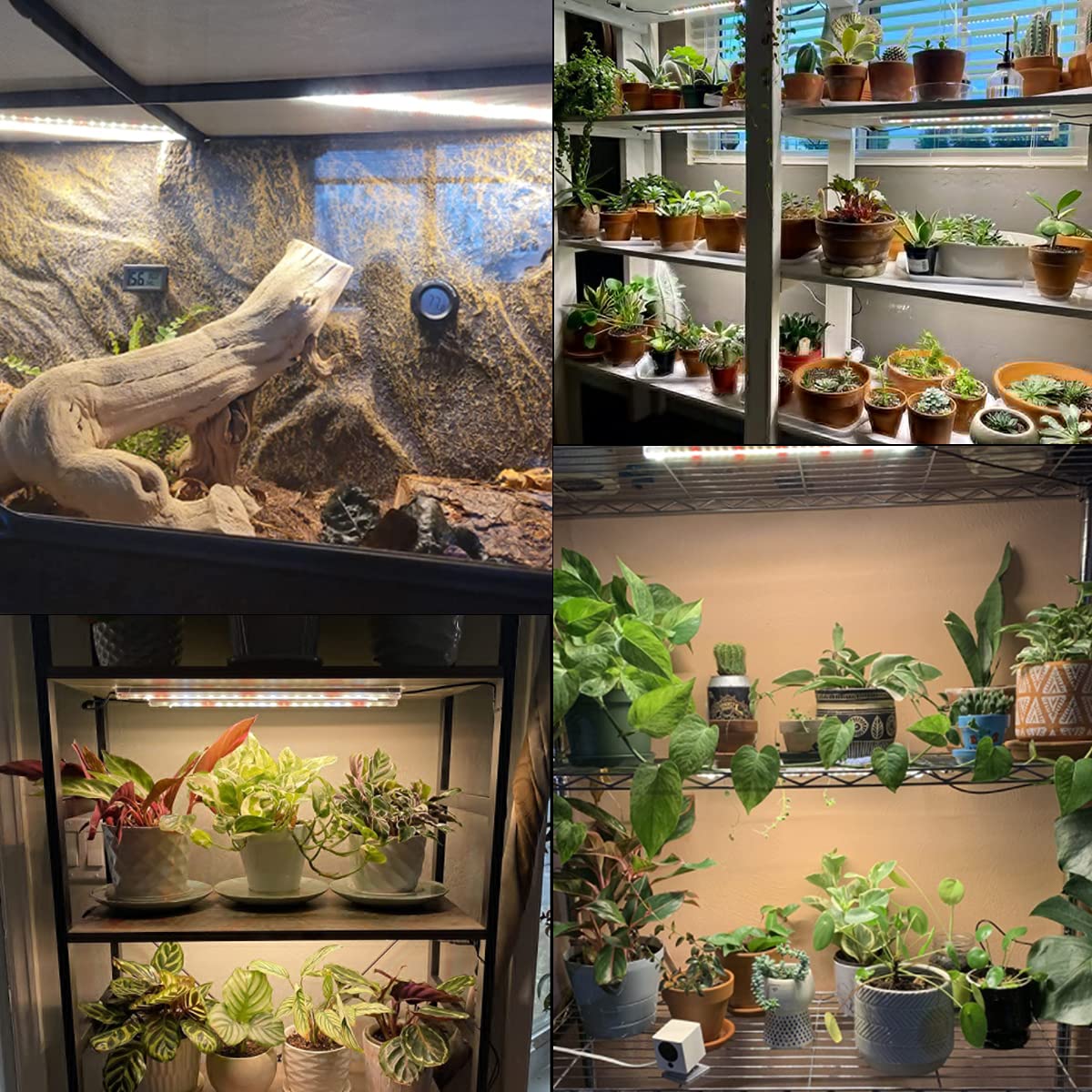 GYTF LED Grow Light Strips demonstrating daisy-chain connection for extended coverage.