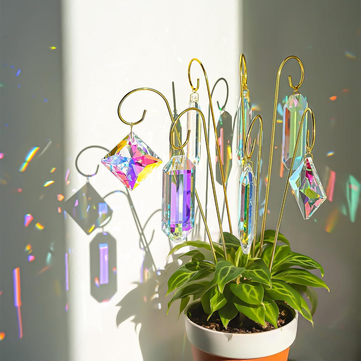 H&D HYALINE & DORA 7-pack AB crystal suncatchers casting rainbow prisms on windows