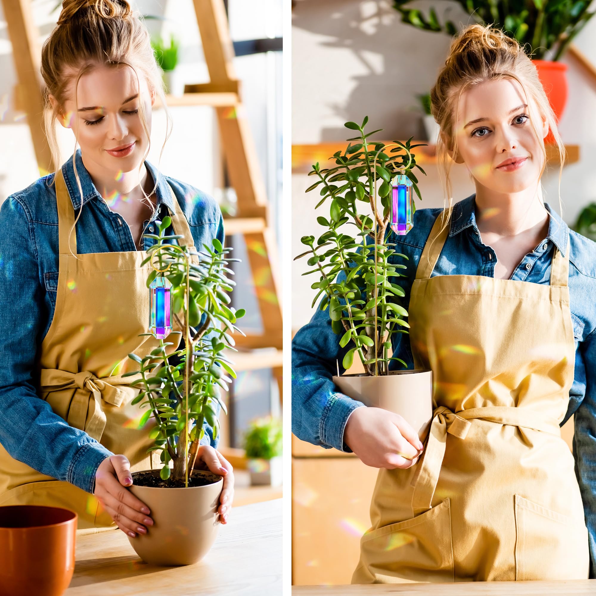 H&D HYALINE & DORA weather-resistant decor enhances windowsills patios and garden displays