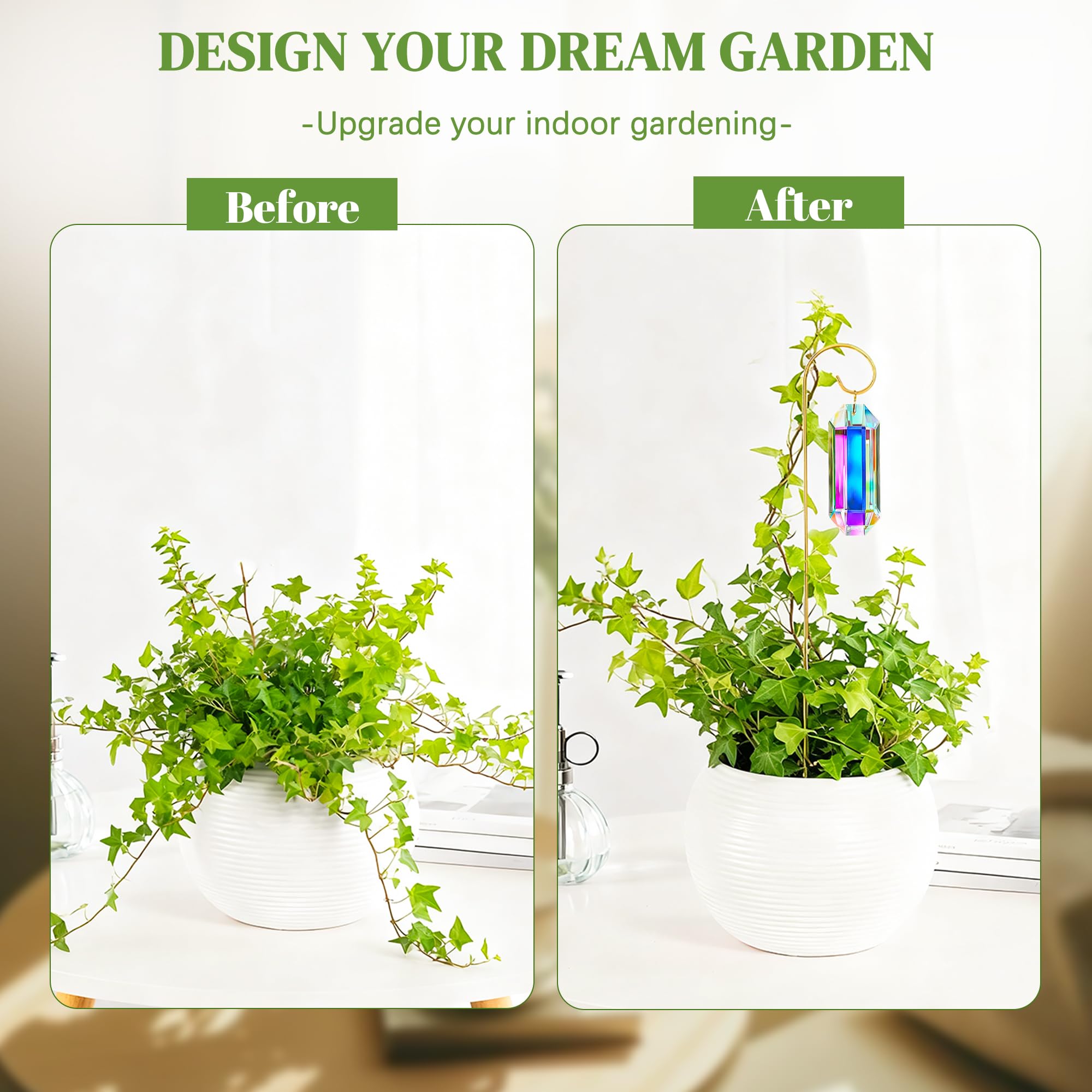 H&D HYALINE & DORA 7-pack provides value and versatile styling for plant lovers