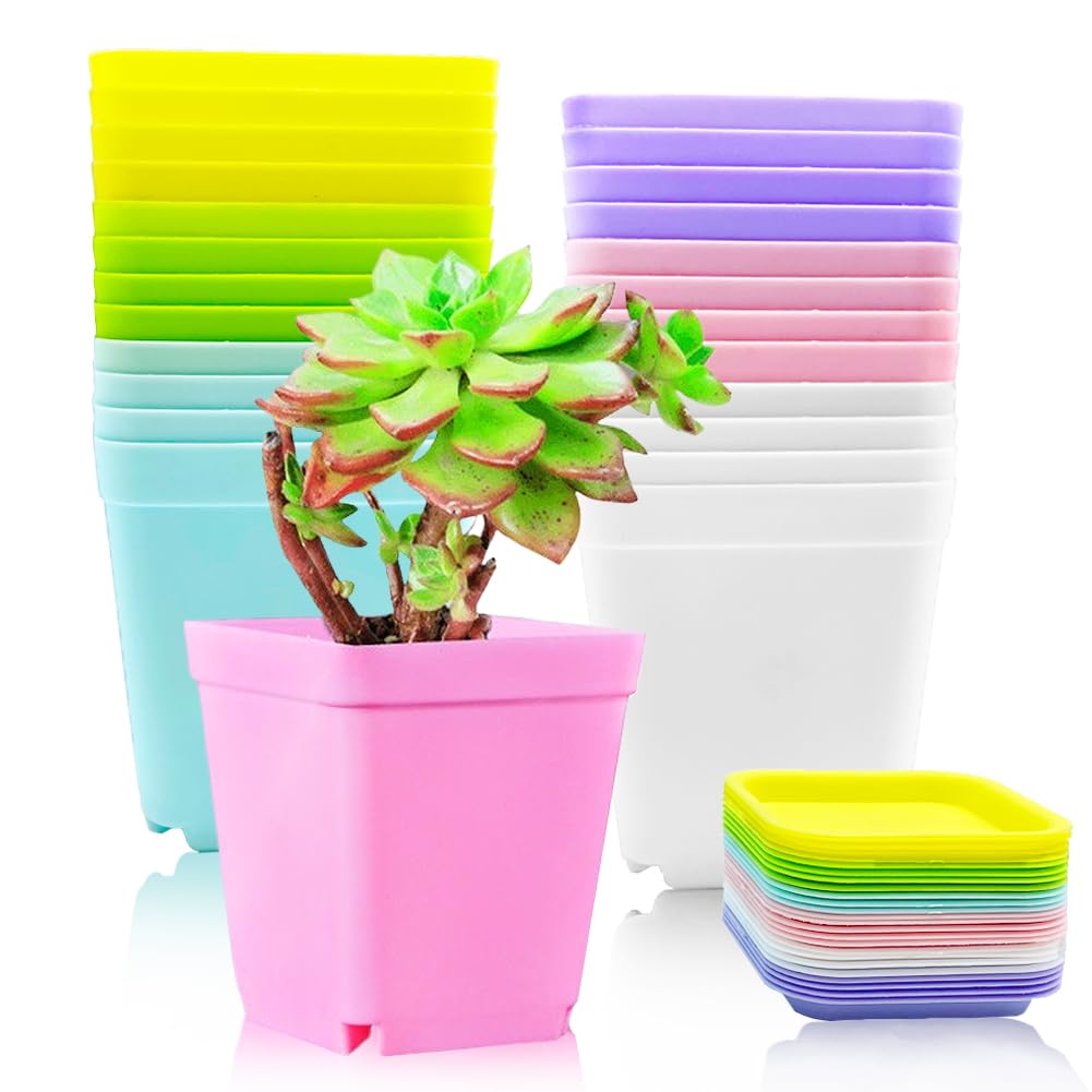 Haawooky 24-pack colorful square plant pots for seedlings on windowsills