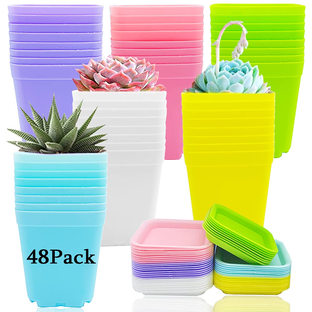 Haawooky 48pcs 3-inch colorful plant pots for easy indoor planting and vibrant display.