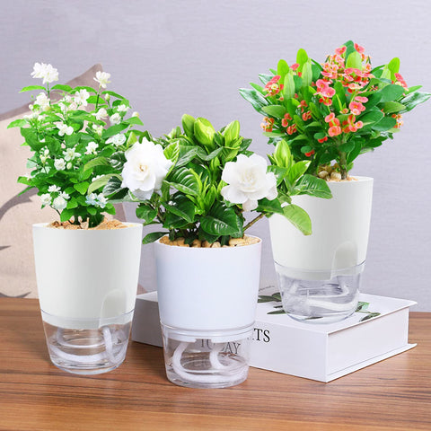 Haawooky African violet friendly pot suitable for herbs and small greens.