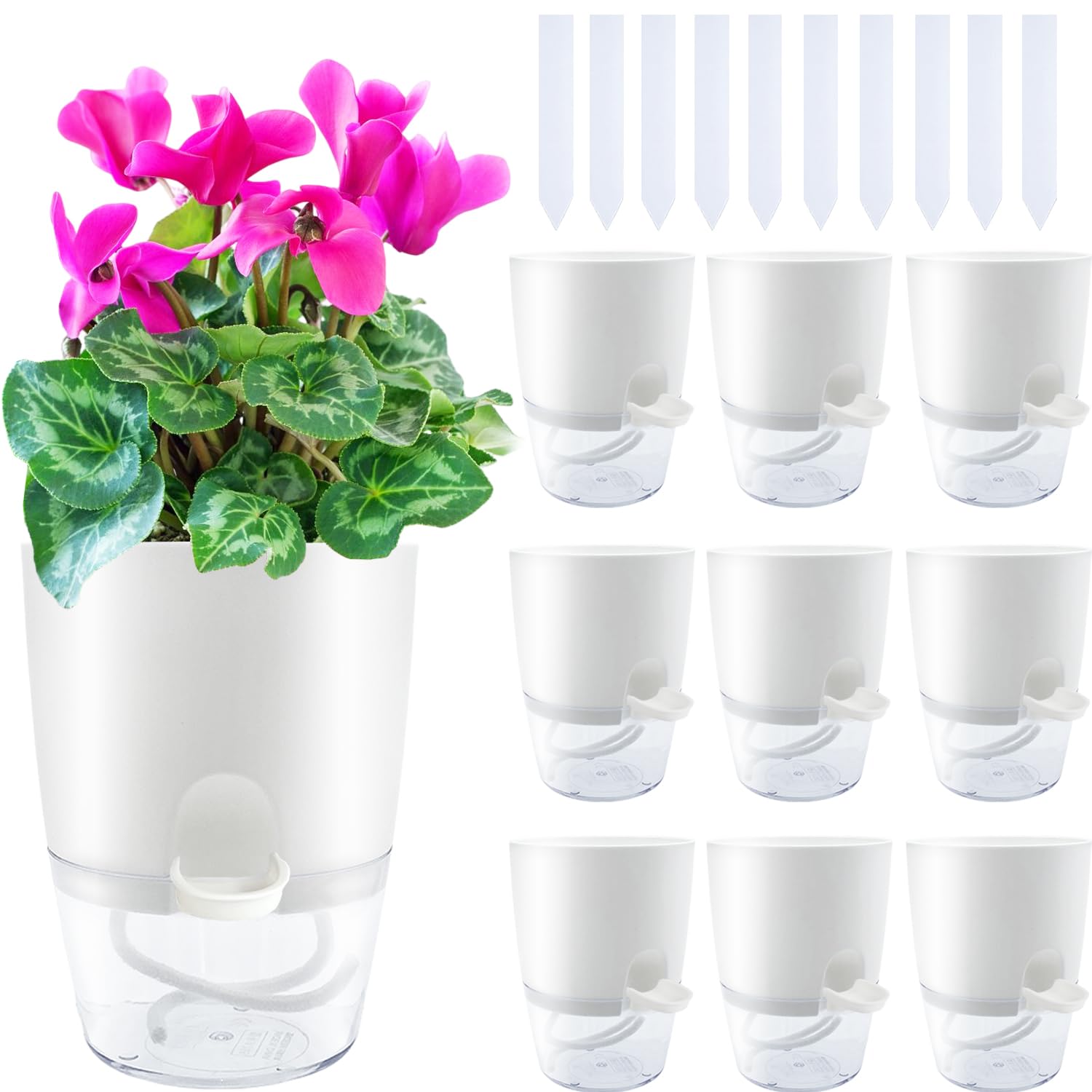 Haawooky clear self-watering planter with a 4.1-inch opening for compact houseplants.