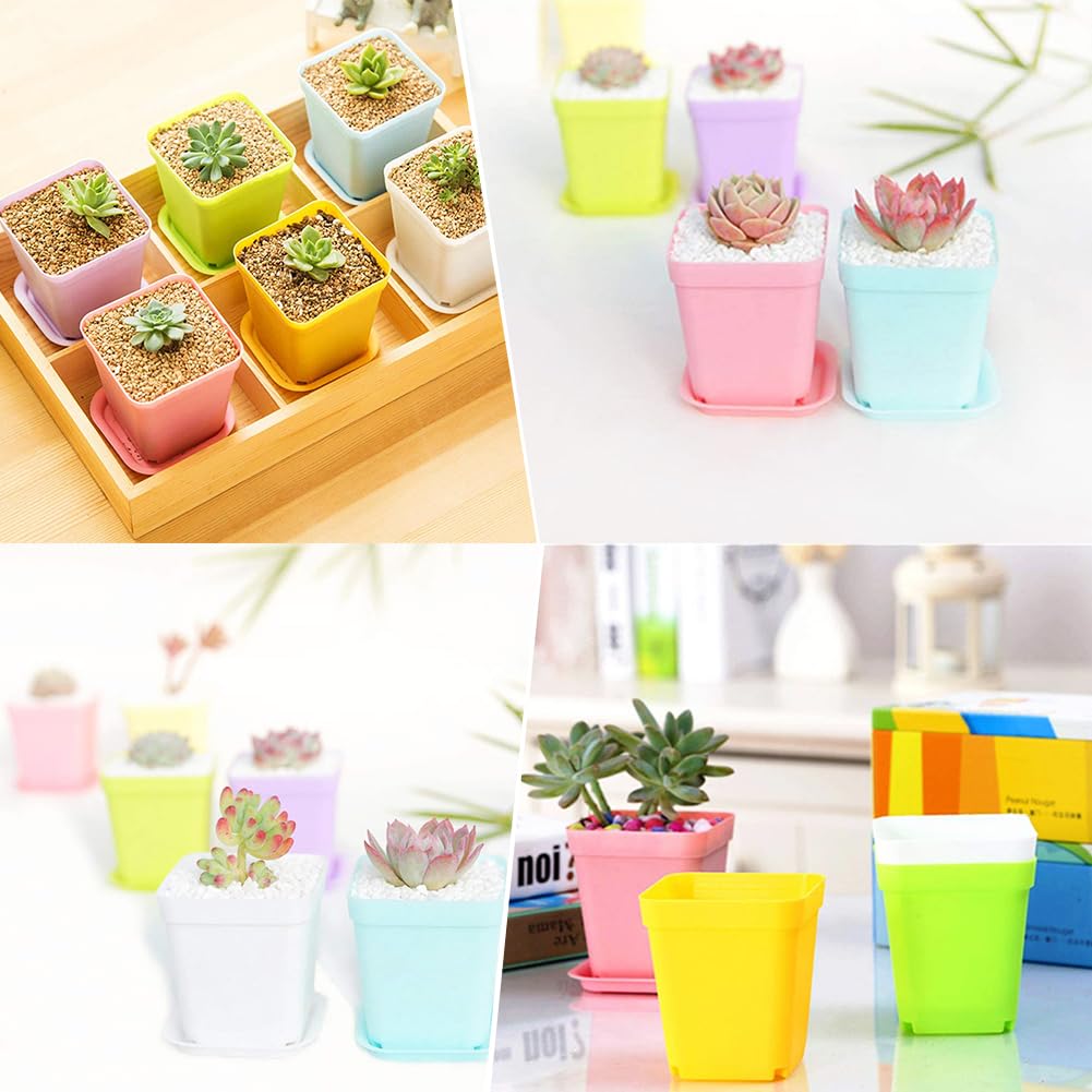Haawooky durable plastic planters are lightweight and reusable for years