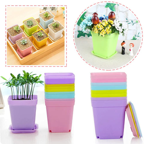 Haawooky versatile planters brighten balconies, desks, and windowsills with color.
