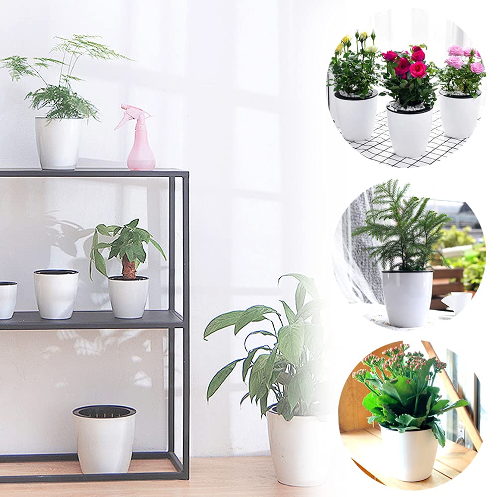 Haawooky planters with herbs, flowers, and succulents for home decor
