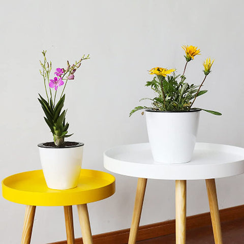 Haawooky planter set placed on a desk for neat plant display