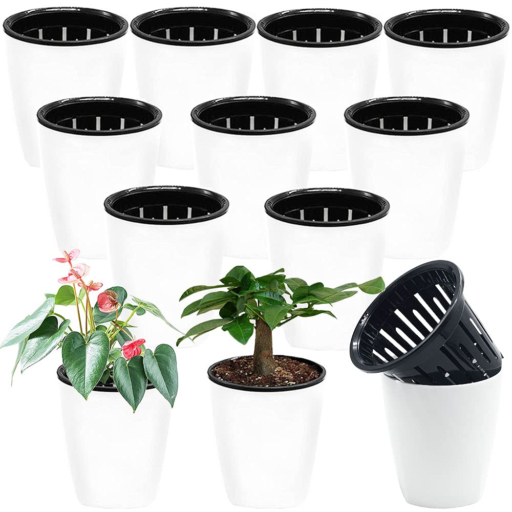 Haawooky 12-pack self-watering planters packaging for easy setup