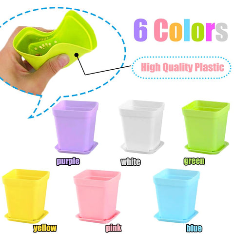 Haawooky small plant pots ideal for starting herbs and succulents on desks