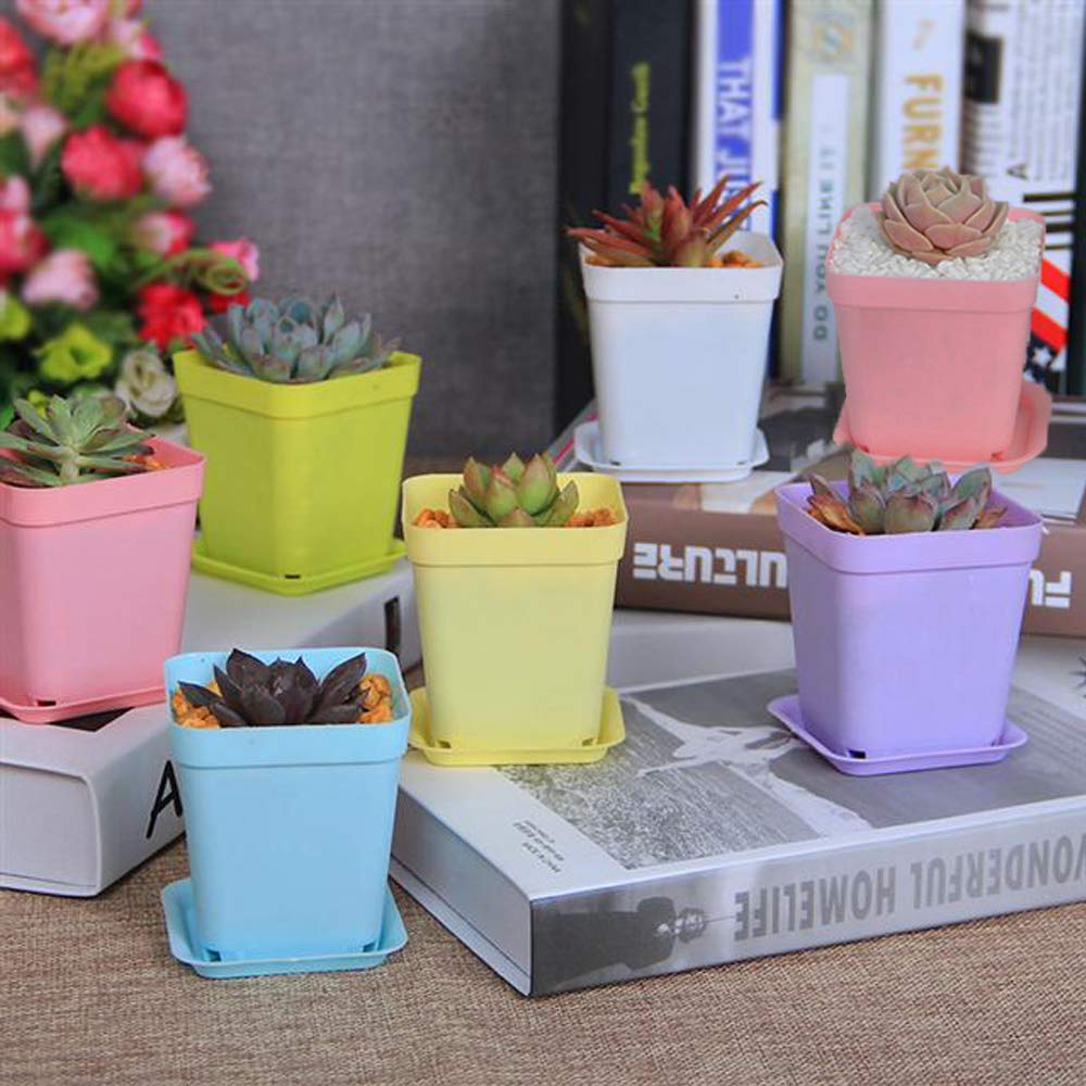 Haawooky pots with drainage holes promote soil drainage and airflow