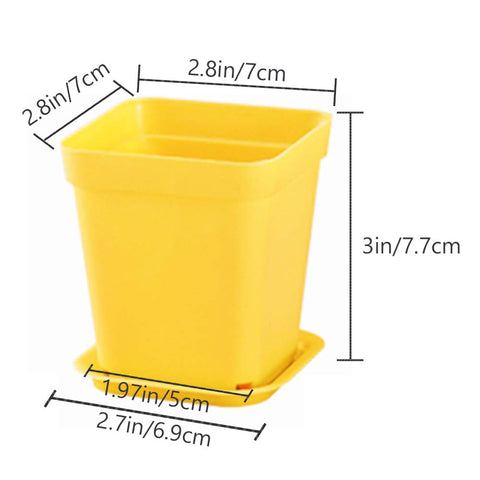 Haawooky square plastic pots with saucers for mess-free indoor gardening