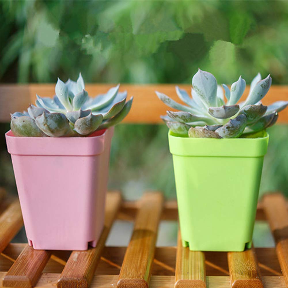 Haawooky versatile planters decorate any room while protecting surfaces