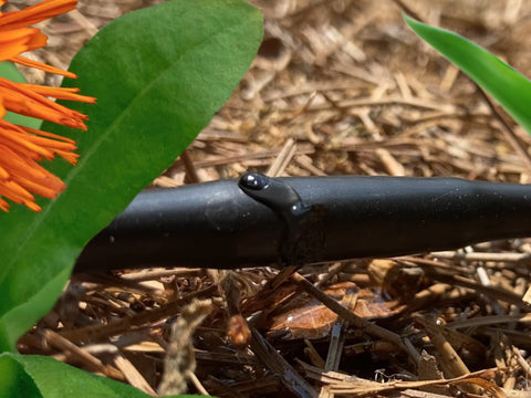 Barbed couplings connect Habitech dripline to main tubing