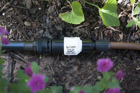 Habitech backflow preventer safeguards irrigation from return flow.