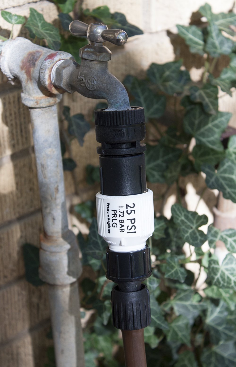 Habitech 25 PSI regulator provides steady water flow for even irrigation.