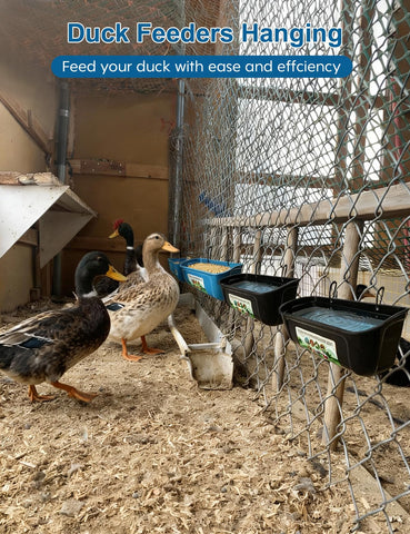 HAEZU BPA-free plastic duck feeder for durable outdoor use