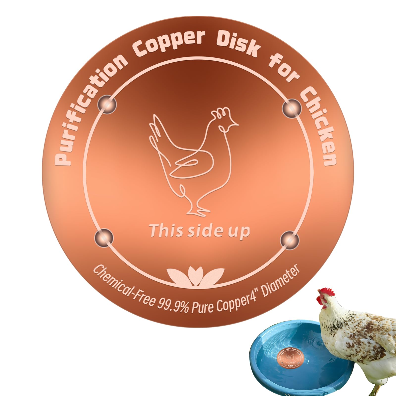 HAEZU copper disc for chicken waterer with 4-inch diameter enhances water clarity.