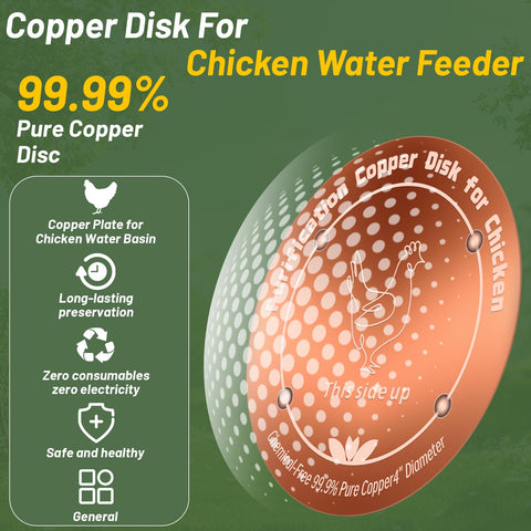 HAEZU copper disc provides year-round hydration with clear water.