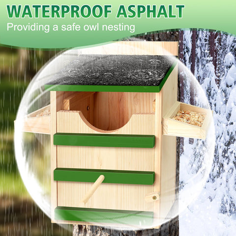 HAFTKD Owl House features two food stations for birds