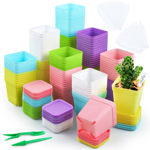 Hahood 120-pack mini planters with six-color palette for seed starting and organization